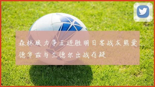森林狼力争五连胜明日客战灰熊爱德华兹与兰德尔出战存疑
