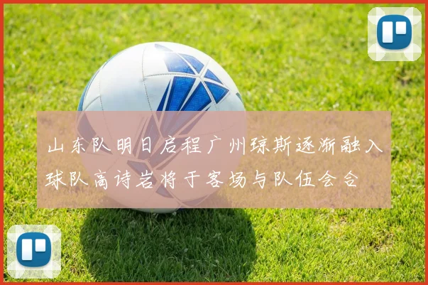 山东队明日启程广州琼斯逐渐融入球队高诗岩将于客场与队伍会合